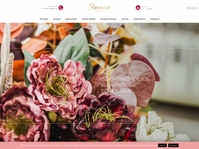 flosaura.lt snapshot