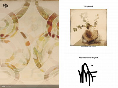 www.januarygirl.art snapshot