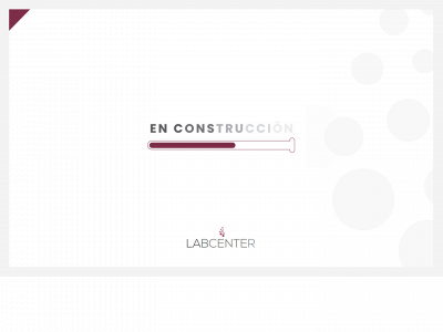 labcenterve.com snapshot