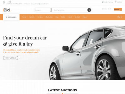 icarautions.com snapshot