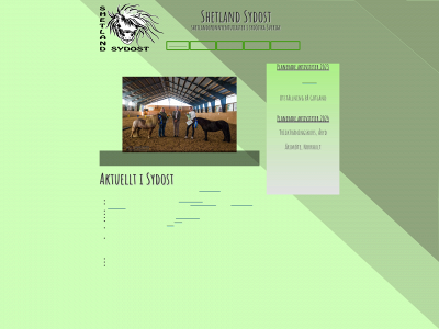 shetlandsydost.se snapshot