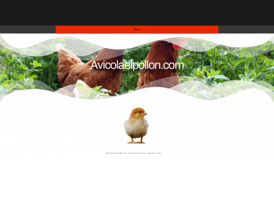 avicolaelpollon.com snapshot