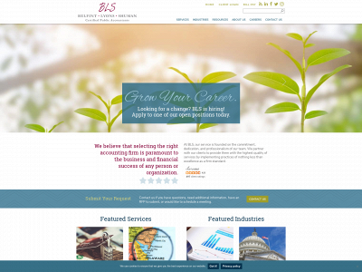 belfint.com snapshot