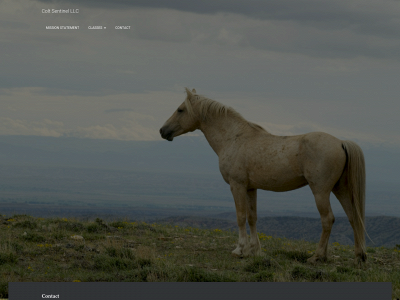 coltsentinel.com snapshot