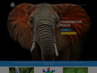 tourismforpeace.com snapshot