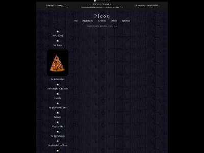 starpizza.lt snapshot