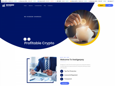 vestigerpay.com snapshot