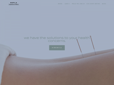 soflaacupuncturewellness.com snapshot