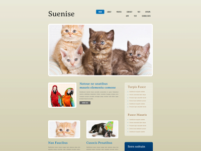 ocishare.in snapshot