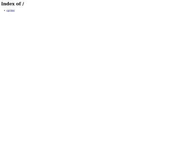 stylexagency.us snapshot