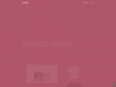 cillebergstroem.dk snapshot