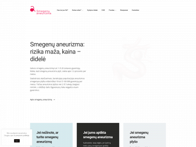 smegenuaneurizma.lt snapshot