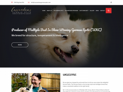 cassandrasgermanspitz.com snapshot