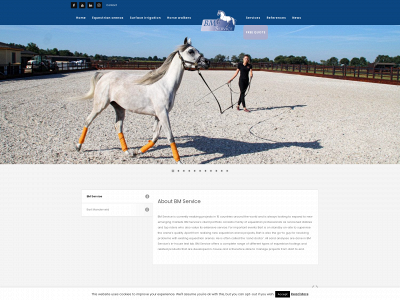 bmservice-arenas.com snapshot