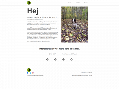 dinhundelufter.dk snapshot