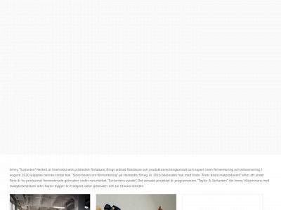 surtantens.se snapshot