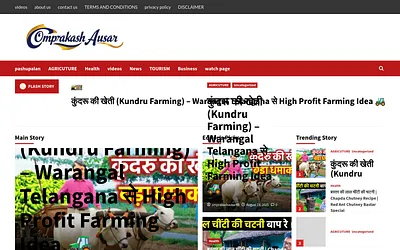 omprakashausar.com snapshot