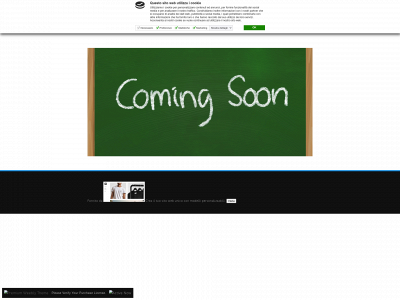 www.fdconsulting.info snapshot