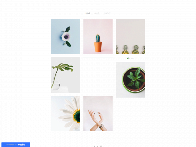 mijumiju.weebly.com snapshot