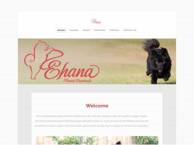 www.ehana.info snapshot