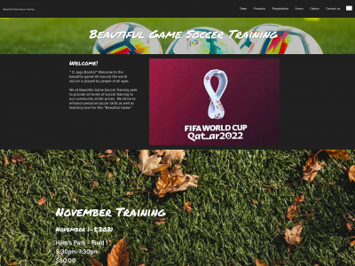 beautifulgamesoccer.com snapshot
