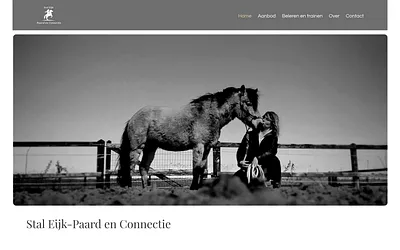 staleijk.nl snapshot