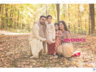 mcmatrimonyna.com snapshot