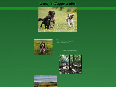 wardys-waggy-walks.co.uk snapshot