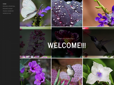 bisolalawal.weebly.com snapshot
