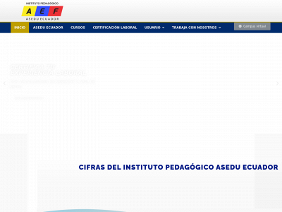 asesor2020.com snapshot