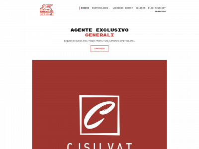 cjsilvat.com snapshot