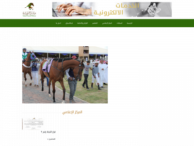 madinafrusiya.com snapshot