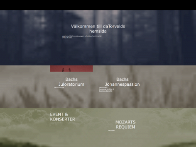 datorvald.com snapshot