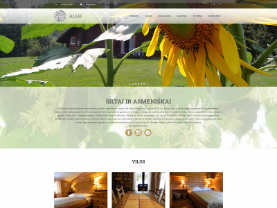 aliai.lt snapshot
