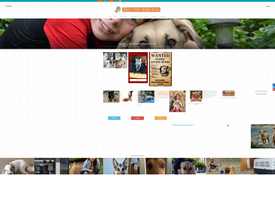 angelsfurryfriends.org snapshot