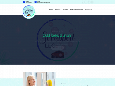 scrubbedllc.com snapshot