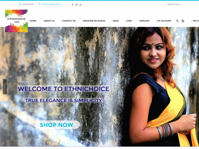 ethnichoice.com snapshot