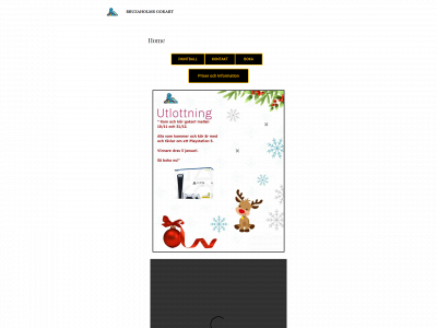 bruzagokart.se snapshot