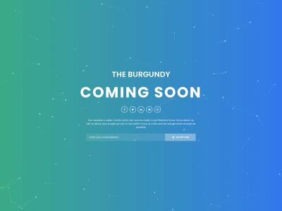 theburgundyint.com snapshot