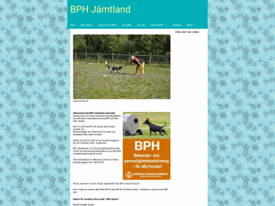 bphjamtland.se snapshot