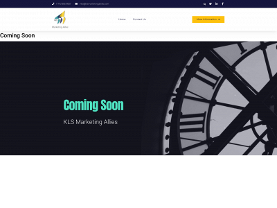 klsmarketingallies.com snapshot