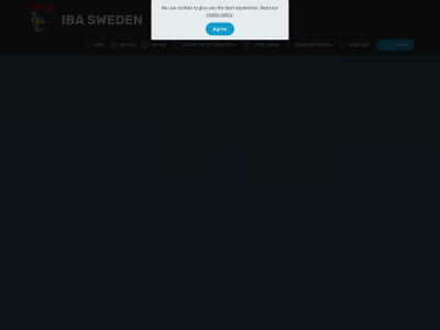 ibasweden.se snapshot