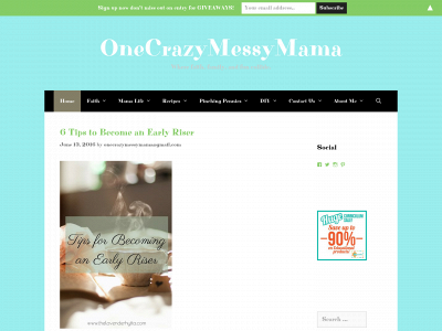 onecrazymessymama.com snapshot