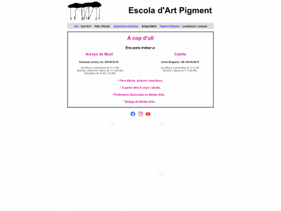 escolapigment.com snapshot