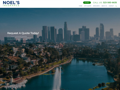 noelsinsurance.com snapshot