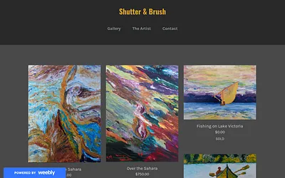 www.shutternbrush.com snapshot
