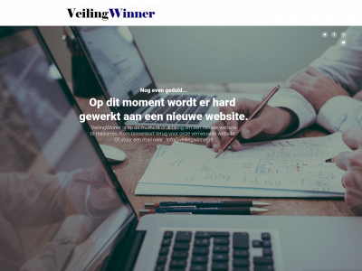 veilingwinner.nl snapshot