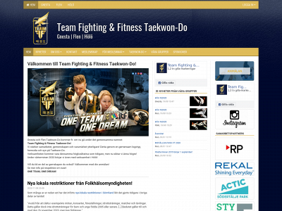 fighting-fitness.se snapshot