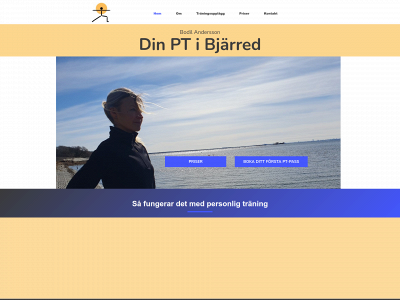 dinpt.se snapshot