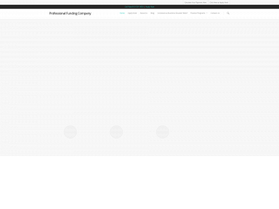 professionalfundingcompany.com snapshot
